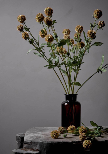 Image:Interior Green