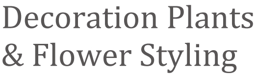 Interior Green | インテリア・グリーン