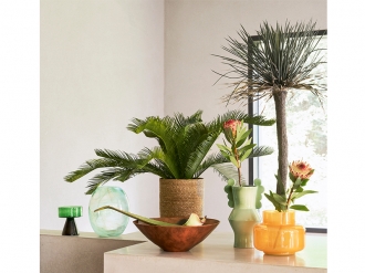 ノストラベース