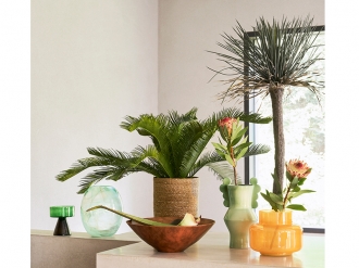 エスカーラボウル