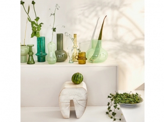 コロベース ミント