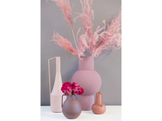 コーネックベース モス