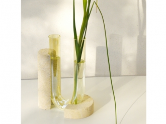 コンサべヴォレッザ イエロー