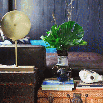 VANESSA MITRANI イヴ スモーク