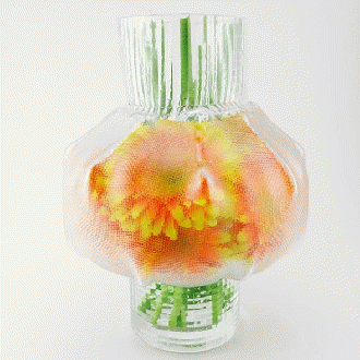 VANESSA MITRANI トレース ロング ブラウン