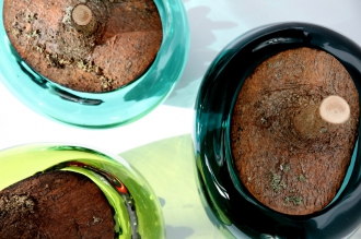 ブランチボウルM Green