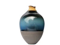 TSV4 ブルーグリーン