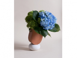 フリーマンベース レッド