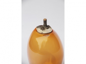 ブランチボウル アプリコット