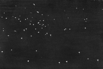 ナイヤガラ フレーム1