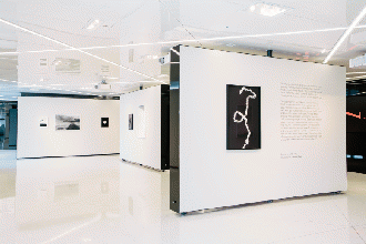 ナイヤガラ フレーム