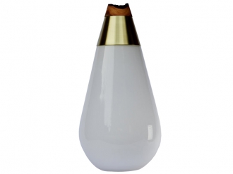 スカラベ オパール1