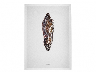 メテオライト アート1