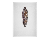 メテオライト アート